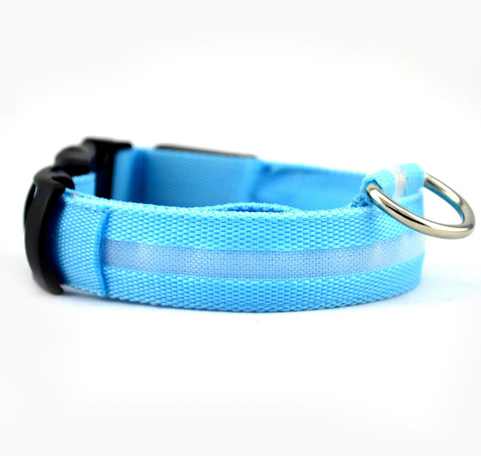 LED Safety Dog Collar – Battery-Powered Light-Up Collar for Night Visibility