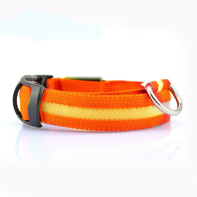 LED Safety Dog Collar – Battery-Powered Light-Up Collar for Night Visibility