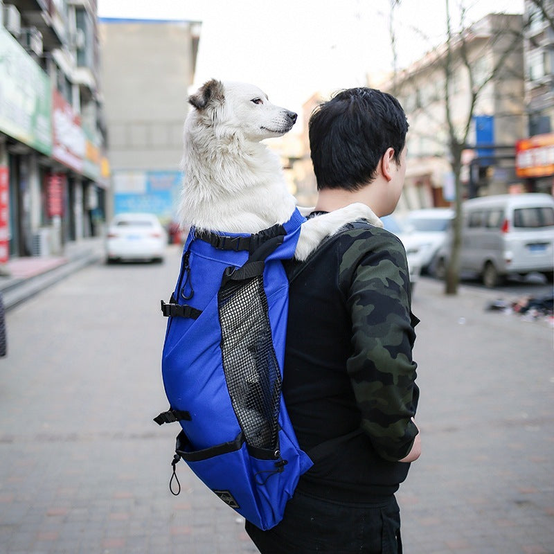 Pet Dog Carrier Backpack – Double Shoulder Travel Bag for Small to Medium Dogs