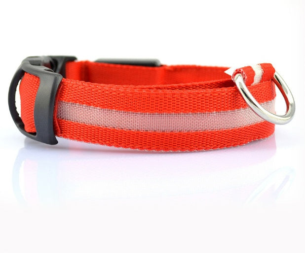 LED Safety Dog Collar – Battery-Powered Light-Up Collar for Night Visibility