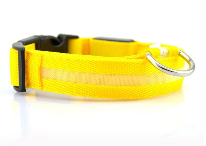 LED Safety Dog Collar – Battery-Powered Light-Up Collar for Night Visibility