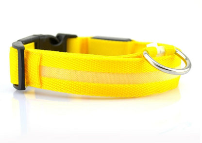 LED Safety Dog Collar – Battery-Powered Light-Up Collar for Night Visibility