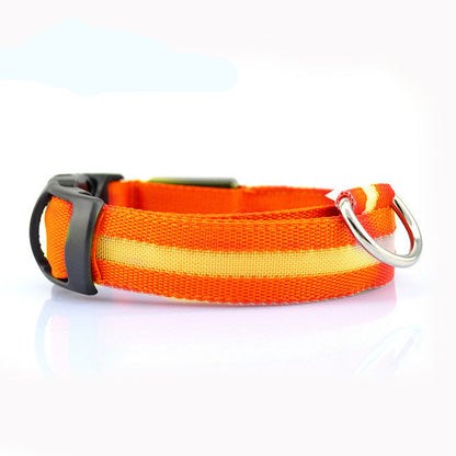 LED Safety Dog Collar – Battery-Powered Light-Up Collar for Night Visibility