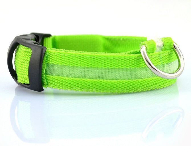 LED Safety Dog Collar – Battery-Powered Light-Up Collar for Night Visibility