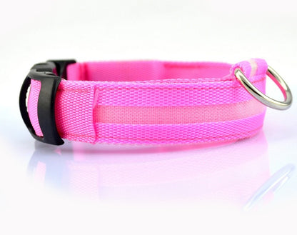 LED Safety Dog Collar – Battery-Powered Light-Up Collar for Night Visibility