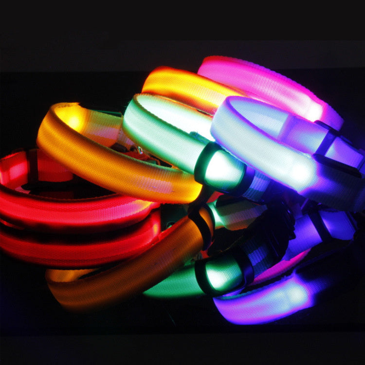 LED Safety Dog Collar – Battery-Powered Light-Up Collar for Night Visibility