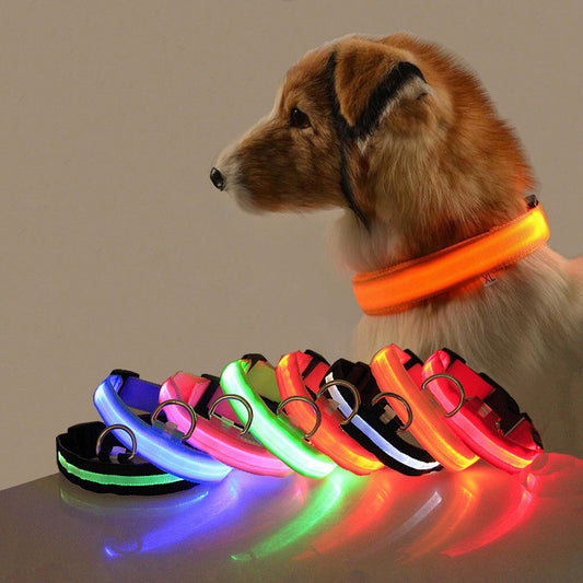 LED Safety Dog Collar – Battery-Powered Light-Up Collar for Night Visibility