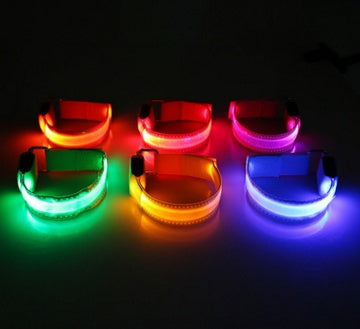 LED Safety Dog Collar – Battery-Powered Light-Up Collar for Night Visibility